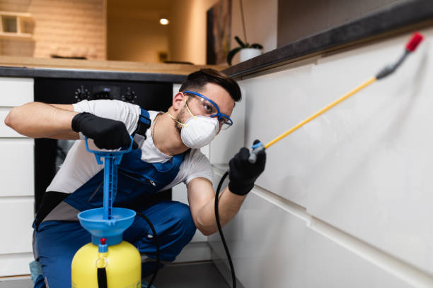 Best Commercial Pest Control Services  in Hawthorn Woods, IL