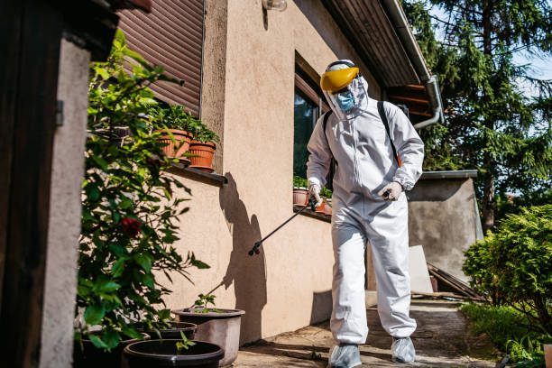 Pest Prevention Services in Hawthorn Woods, IL
