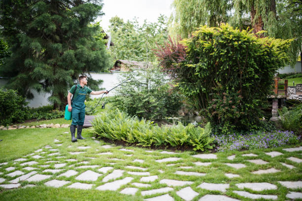 Best Cockroach Control Services  in Hawthorn Woods, IL