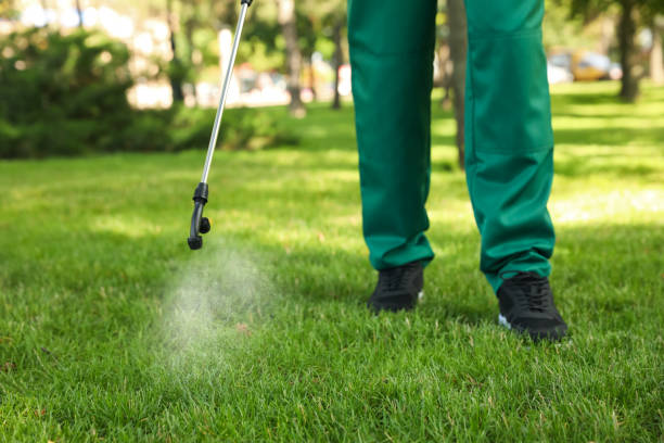 Best Ant Control Services  in Hawthorn Woods, IL