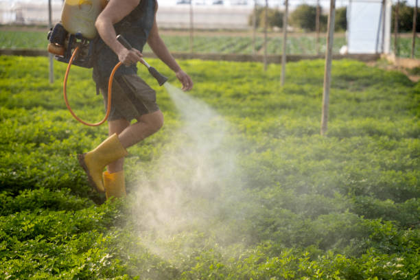Best Best Pest Control Companies  in Hawthorn Woods, IL