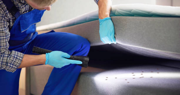 Best Emergency Pest Control  in Hawthorn Woods, IL