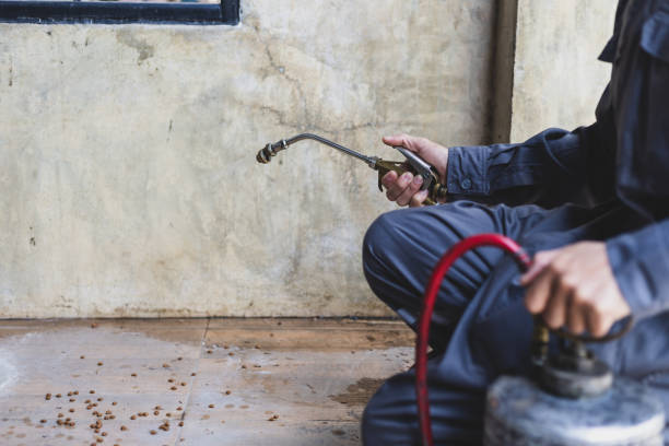Best Pest Control for Homes  in Hawthorn Woods, IL